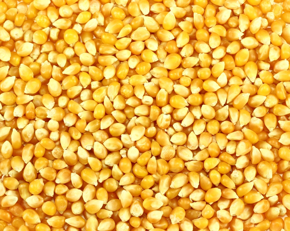 sonhar com milho de pipoca